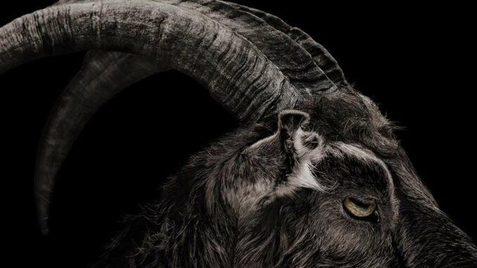 5 películas de terror sutil para ver sin aterrorizarse