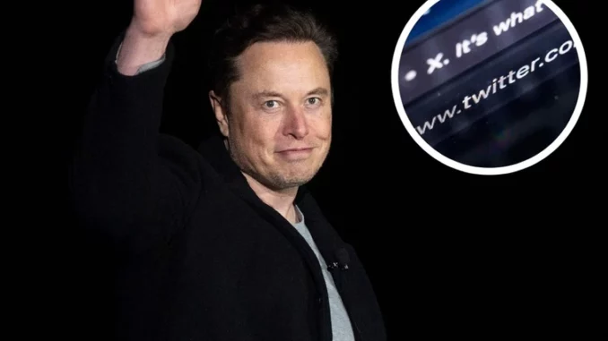 Twitter completa el cambio más importante desde que lo compró Elon Musk>