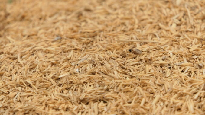 Las cáscaras de los cereales tienen ahora un uso increíble gracias a la IA: fabricación de hormigón ecológico