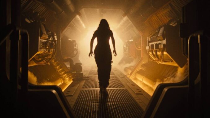 5 películas recién estrenadas en Disney+ que vale la pena ver (y ninguna es infantil)
