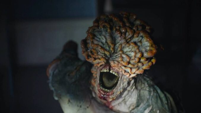 La gente está tomando el hongo de ‘The Last of Us’: ¿qué efectos tiene el ‘Cordyceps sinensis’ en el cuerpo?
