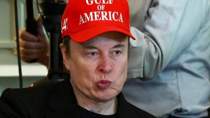 El boicot a Elon Musk estalla en X: la red pierde millones de usuarios en Europa