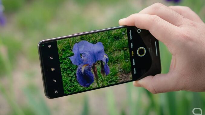 Pensaba que sólo un móvil de mil euros podía sacar fotos así: estaba equivocado